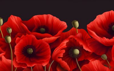 Así suena… Berenice